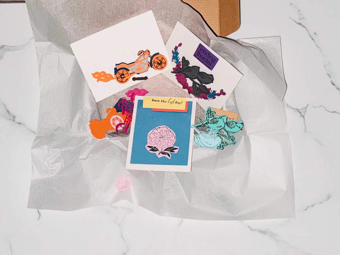 each of the cards have a summer trending color to them. the bird and motorcycle card have two color variations. 
